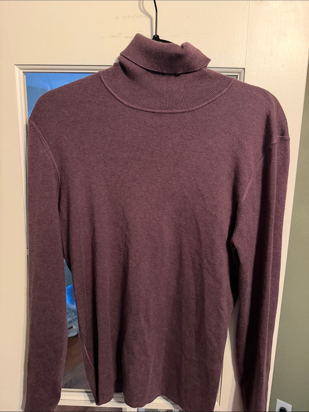 Women’s Plum Turtleneck Sweater